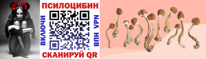 Галлюциногенные грибы прущие грибы  наркошоп  Бабушкин 